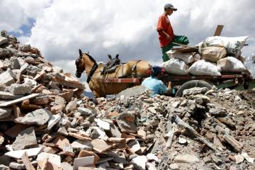 Proyecto adopta un caballo para erradicar tracción animal en Antioquia Proyecto adopta un caballo para erradicar tracción animal en Antioquia