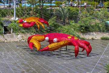 Alumbrados de Navidad 2020 se instalan en Parques del Río, en Medellín Alumbrados de Navidad 2020 se instalan en Parques del Río, en Medellín