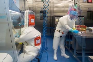 Expertos de OMS llegan a China para analizar origen de la pandemia Expertos de OMS llegan a China para analizar origen de la pandemia