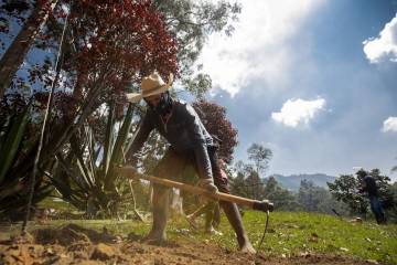 Antioquia define plan para proteger campesinos Antioquia define plan para proteger campesinos
