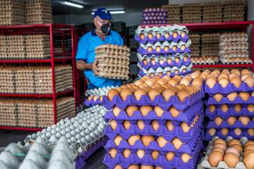 Estos son los 26 productos “fundamentales” en la crisis Estos son los 26 productos “fundamentales” en la crisis