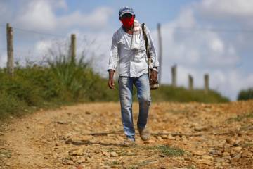 El cartero del río Cauca El cartero del río Cauca