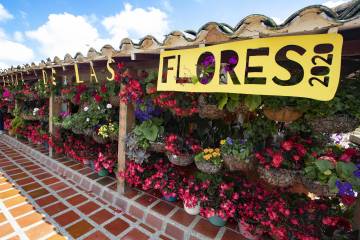 Feria de las Flores de Medellín 2020 llegará en caravanas móviles Feria de las Flores de Medellín 2020 llegará en caravanas móviles