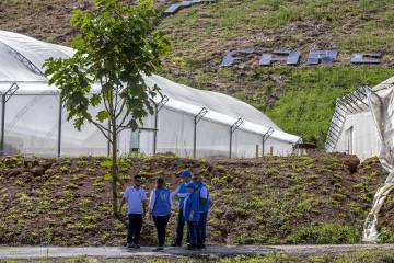 Consejo de Seguridad prorrogó mandato a la Misión de la ONU en Colombia por un año más Consejo de Seguridad prorrogó mandato a la Misión de la ONU en Colombia por un año más