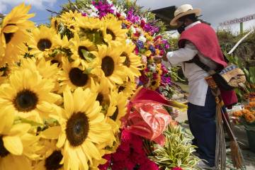 Feria de las Flores de Medellín 2020 llegará en caravanas móviles Feria de las Flores de Medellín 2020 llegará en caravanas móviles