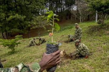 Sembratón dio impulso a meta de reforestación Sembratón dio impulso a meta de reforestación