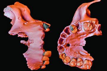 La evidencia genética humana más antigua La evidencia genética humana más antigua