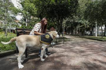 Un barrio de pocos niños y sin iglesia en su parque Un barrio de pocos niños y sin iglesia en su parque