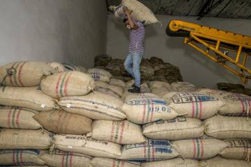 Cooperativa de Andes aleja riesgo de liquidación Cooperativa de Andes aleja riesgo de liquidación