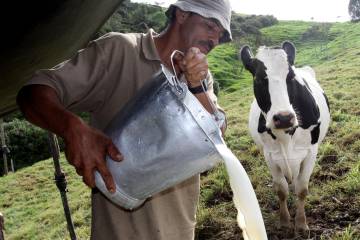 El agro se inquieta por aumento de importaciones de varios alimentos El agro se inquieta por aumento de importaciones de varios alimentos