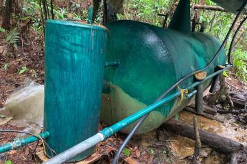 Degradación del bosque, otro daño de narcos en Antioquia Degradación del bosque, otro daño de narcos en Antioquia
