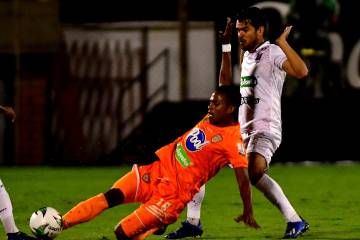 Envigado, Leones y Águilas Doradas juegan en la Copa Betplay Envigado, Leones y Águilas Doradas juegan en la Copa Betplay