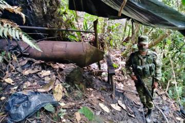 Degradación del bosque, otro daño de narcos en Antioquia Degradación del bosque, otro daño de narcos en Antioquia