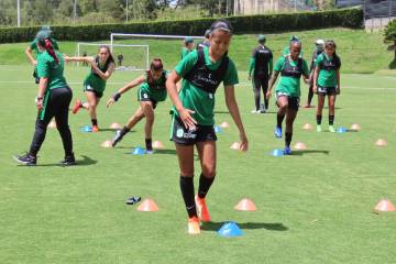 <p>351 jugadoras </p><p>le dan vida al torneo femenino</p> <p>351 jugadoras </p><p>le dan vida al torneo femenino</p>