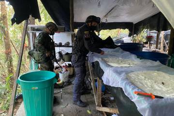 Gobierno en Colombia ha destruido 4.215 laboratorios en 2020 Gobierno en Colombia ha destruido 4.215 laboratorios en 2020