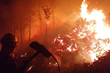 Incendio forestal en sector San Silvestre de Bello, Antioquia Incendio forestal en sector San Silvestre de Bello, Antioquia