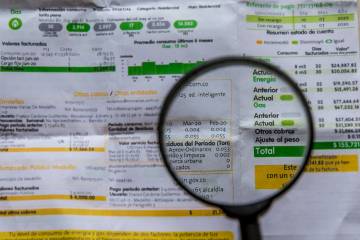 Disminuir las brechas, el desafío del sector de servicios públicos Disminuir las brechas, el desafío del sector de servicios públicos