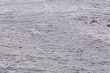Emergencia por falta de agua de 10 comunidades indígenas y mestizas de Murindó, Antioquia Emergencia por falta de agua de 10 comunidades indígenas y mestizas de Murindó, Antioquia