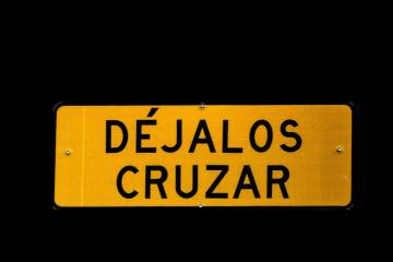 Déjalos cruzar Déjalos cruzar