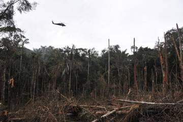 Suspensión de los bombardeos se prolongará si Farc cumplen el cese Suspensión de los bombardeos se prolongará si Farc cumplen el cese