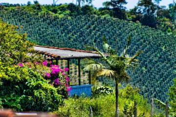 Antioquia a través de fotos de sus habitantes Antioquia a través de fotos de sus habitantes