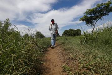 El cartero del río Cauca El cartero del río Cauca