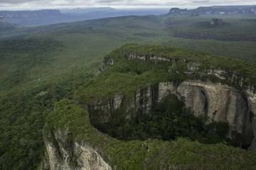 Deforestación en Colombia se redujo un 19,2 por ciento en 2019 con relación a 2018 Deforestación en Colombia se redujo un 19,2 por ciento en 2019 con relación a 2018
