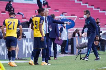 Eliminatoria: Selección de Ecuador realizará microciclo antes de enfrentar a Colombia Eliminatoria: Selección de Ecuador realizará microciclo antes de enfrentar a Colombia