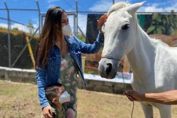 En Marinilla adoptan primera yegua rescatada por maltrato en las calles En Marinilla adoptan primera yegua rescatada por maltrato en las calles