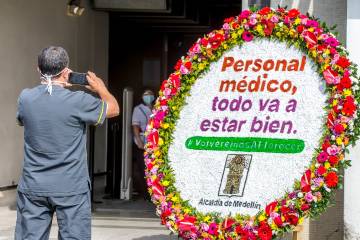 #VolveremosAFlorecer #VolveremosAFlorecer
