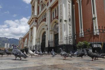 Cuarentena | Así se ve Bello sin humanos Cuarentena | Así se ve Bello sin humanos
