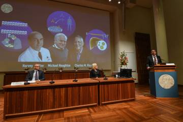 Premio Nobel de Medicina abre temporada 2020, el año del covid Premio Nobel de Medicina abre temporada 2020, el año del covid