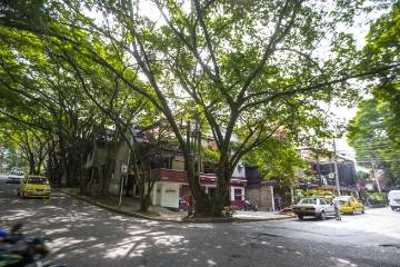 Dos problemas que preocupan al barrio Provenza Dos problemas que preocupan al barrio Provenza