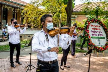 La música y la vida llegaron al sector de la salud La música y la vida llegaron al sector de la salud