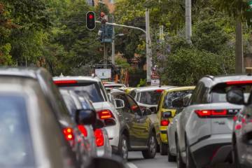 Cae la venta de vehículos a julio Cae la venta de vehículos a julio