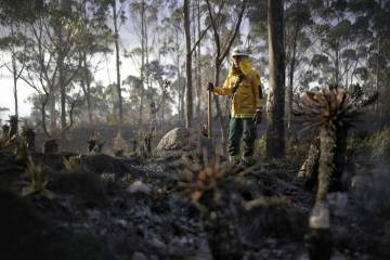 Incendios que deja el primer mes de la temporada seca en Colombia Incendios que deja el primer mes de la temporada seca en Colombia