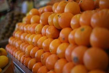 Razones que impulsan los despachos del sector agro Razones que impulsan los despachos del sector agro