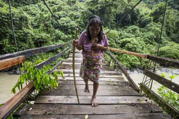 <p>Comunidades nativas cuidarán </p><p>bosques y humedales de Urabá</p> <p>Comunidades nativas cuidarán </p><p>bosques y humedales de Urabá</p>