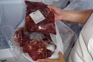 PAE en Bucaramanga y Santander suministraba carne de caballo y burro a los niños PAE en Bucaramanga y Santander suministraba carne de caballo y burro a los niños