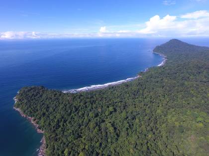 En el Bajo Baudó declararán una nueva área marina protegida - El Colombiano