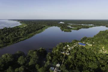 Cooperación impacta en 97 mil hectáreas de bosque Cooperación impacta en 97 mil hectáreas de bosque