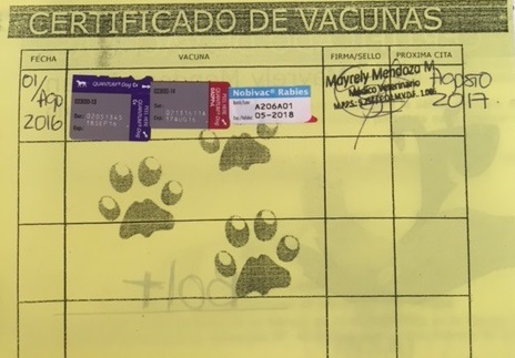 Parte de la documentación que fue presentada por Yarima Marchan, dueña del Bolt, ante el personal la compañía Copa Airlines. FOTO Cortesía. Parte de la documentación que fue presentada por Yarima Marchan, dueña del Bolt, ante el personal la compañía Copa Airlines. FOTO Cortesía.