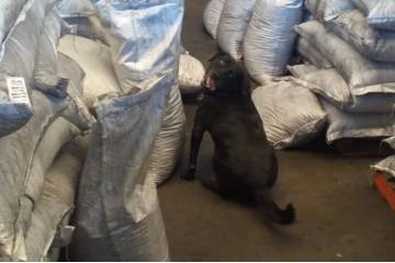 Decomiso de 4,9 toneladas de cocaína en puerto de Buenaventura Decomiso de 4,9 toneladas de cocaína en puerto de Buenaventura