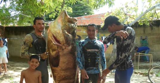 La pesca de los castigos 72