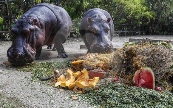 Pepa (izquierda), madre de Jakira (derecha), luego de partir la torta y romper la piñata de cumpleaños. FOTO ROBINSON SÁENZ Pepa (izquierda), madre de Jakira (derecha), luego de partir la torta y romper la piñata de cumpleaños. FOTO ROBINSON SÁENZ