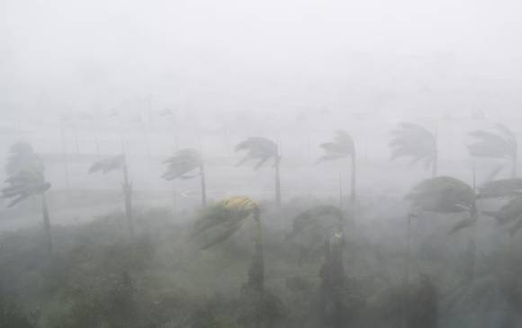 FOTO AFP FOTO AFP