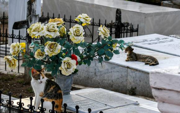 FOTO AFP FOTO AFP