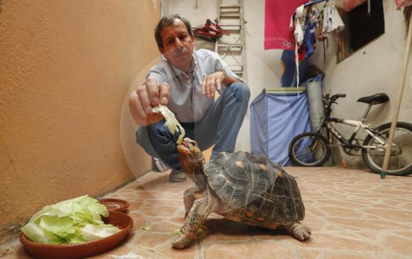 Ãngel Gabriel y su familia recientemente tomaron la decisiÃ³n de entregar a la tortuga SofÃ­a a las autoridades. FOTO manuel saldarriaga