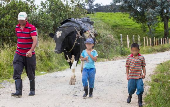 La principal actividad económica es la ganadería lechera, por eso es común encontrarse a las vacas en plena vía, llevando cantinas.