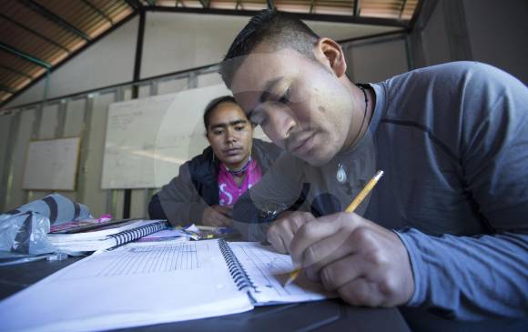 Iniciativa colombiana garantiza educación a exmiembros de las FARC-EP